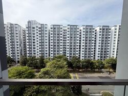 The Canopy (D27), Condominium #581202161